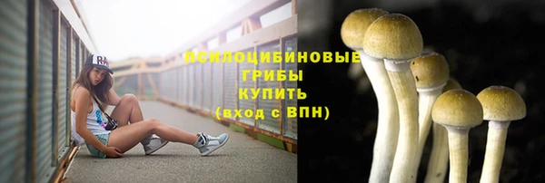 Альфа ПВП Протвино